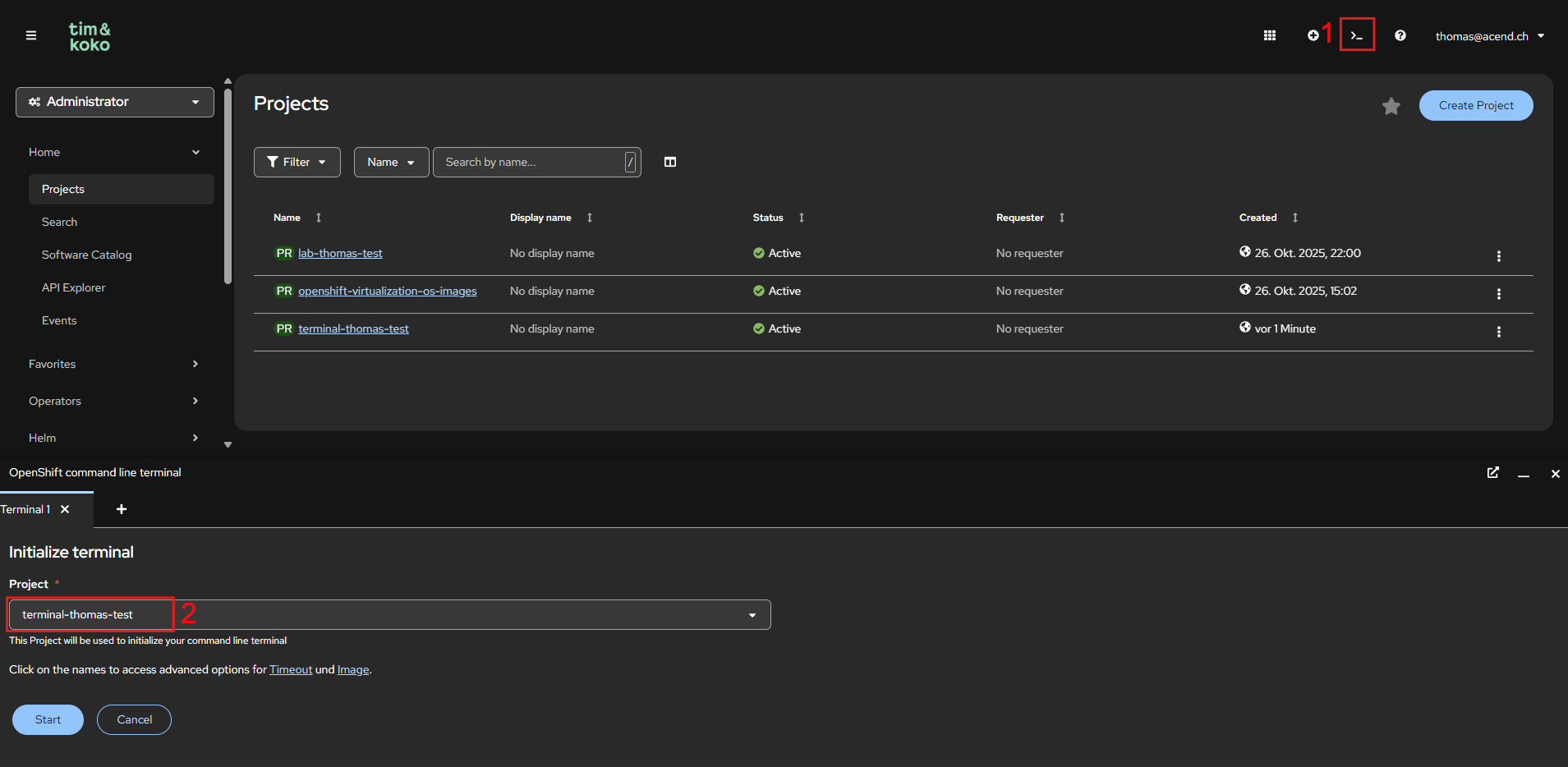 Web terminal in the OpenShift console
